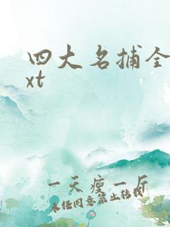 四大名捕全集txt