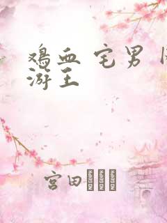 鸡血 宅男 网游王