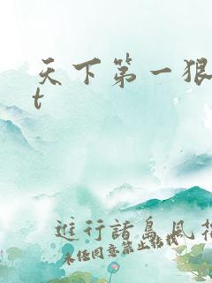天下第一狠txt