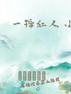 一号红人 小说