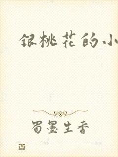 银桃花的小说