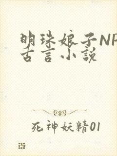 明珠娘子NPC古言小说