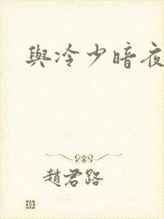 与冷少暗夜孽爱