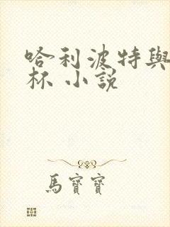 哈利波特与火焰杯 小说