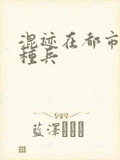 混迹在都市的特种兵