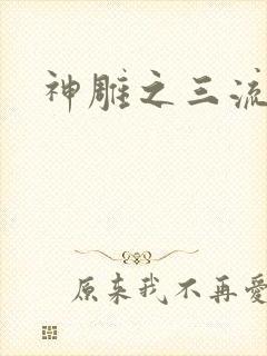 神雕之三流