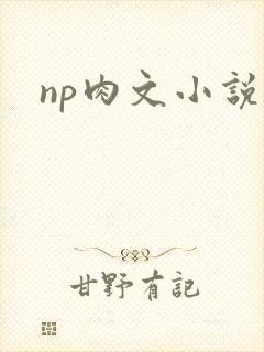 np肉文小说