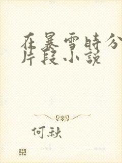 在暴雪时分高能片段小说