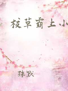 校草霸上小丫头