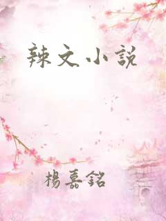 辣文小说