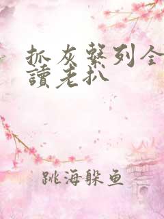 抓灰系列全文阅读老扒