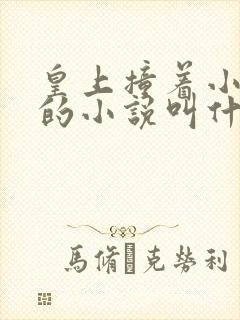 皇上撞着小公主的小说叫什么