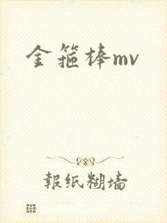 金箍棒mv