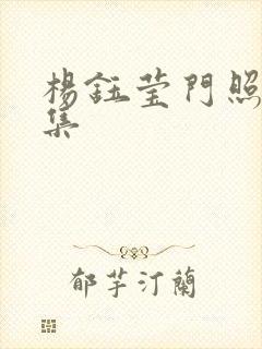 杨钰莹门照艳全集