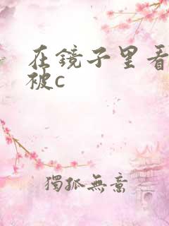 在镜子里看自己被c