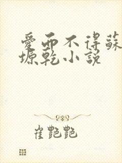 爱而不得苏路顾塬乾小说