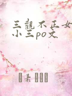 三观不正女主是小三po文