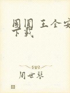 团圆 王全安 下载