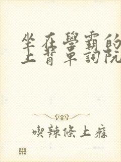 坐在学霸的棍子上背单词阮梅