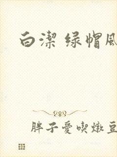白洁 绿帽风云