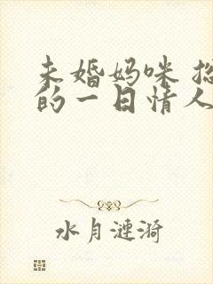 未婚妈咪 总裁的一日情人