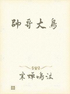 帅哥大鸟