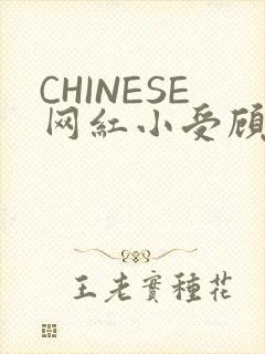 CHINESE网红小受顾泽宇