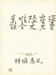 叶唯陆霆琛的小说全文免费阅读