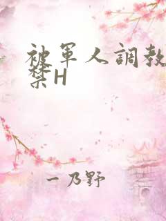 被军人调教到失禁H