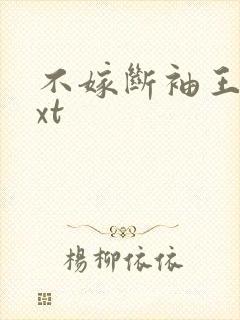 不嫁断袖王爷txt