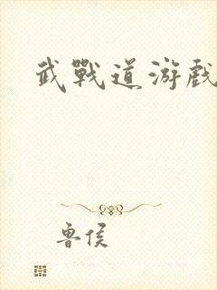 武战道游戏