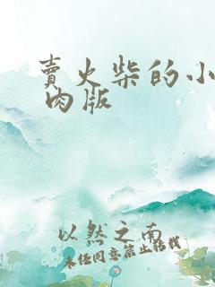 卖火柴的小男孩 肉版