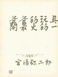 爸爸的玩具笔趣阁最火的一句