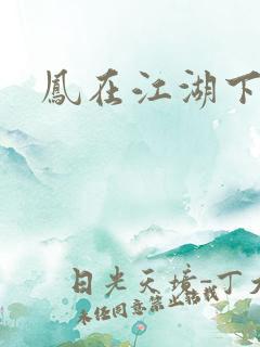 凤在江湖下载