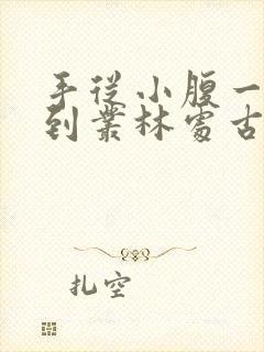 手从小腹一路开到丛林处古代