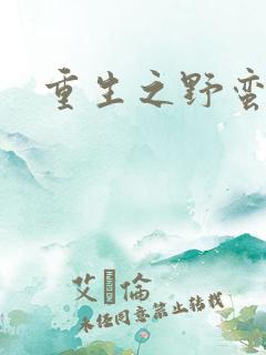 重生之野蛮盗贼