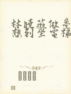 林晓薇做梦也没想到坐电梯到小区物业