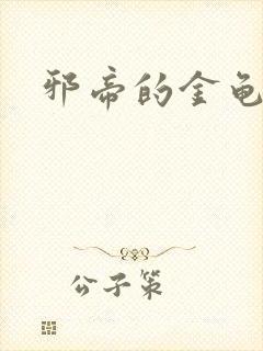 邪帝的金龟小宠