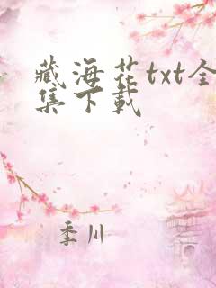 藏海花txt全集下载