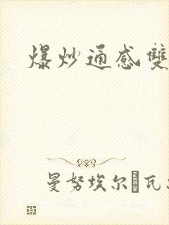 爆炒通感双胞胎