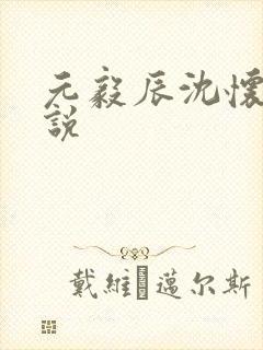 元毅辰沈怀妆小说