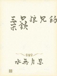 三只狼兄的宠妻宋钦