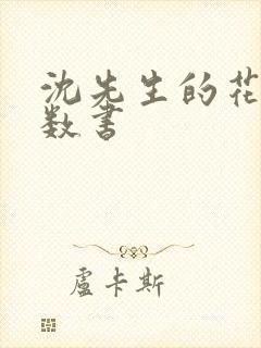 沈先生的花式调数书