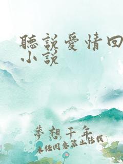 听说爱情回来过小说