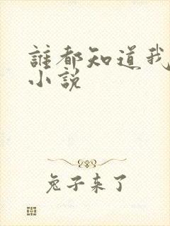 谁都知道我爱你小说