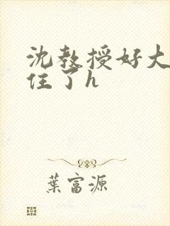 沈教授好大含不住了h