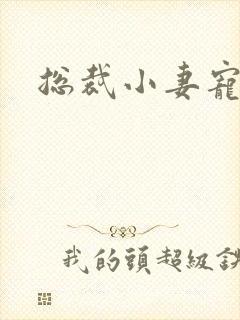 总裁小妻宠上天