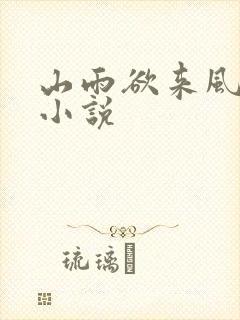 山雨欲来风满楼小说