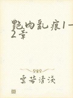 艳肉乱痕1—12章