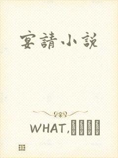 宴请小说